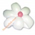 Blanco globos largos(50)