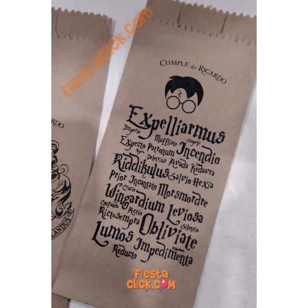 Harry Potter Bolsa papel (24)