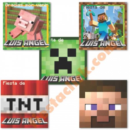 Minecraft Sticker especial (30)