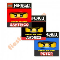 Ninjago Sticker especial (30)
