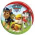 Paw patrol Platos (6) 