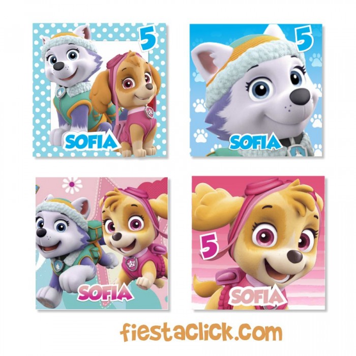 Coussin Doudou Paw Patrol Skye Et Everest - Velours Doux 32x31 Cm - Décoration Chambre Enfant Oeko-TEX