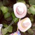 Mini sombreros vaqueros (12)